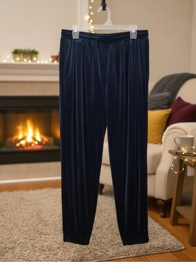 Velvet Pull-On Pants in Deep Navy • NWT • 17" waist, 27" inseam, 14.5" rise